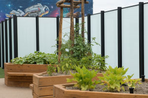 three planter boxes for playground to plate® food garden at childcare centre fitzroy elc